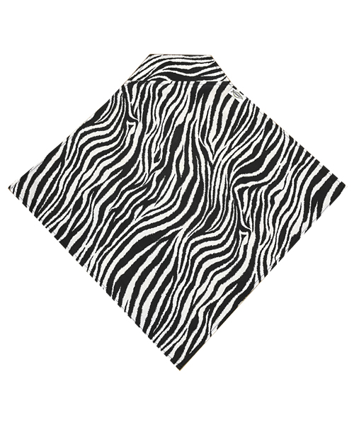 Zebra black and white