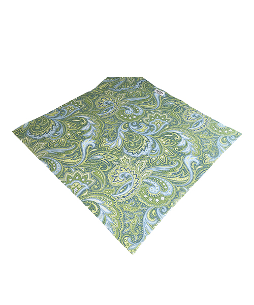 Green and Sky Blue Paisley