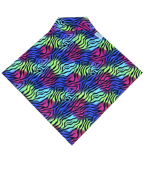 Colorful Zebra