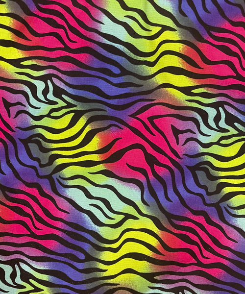 colorful Zebra
