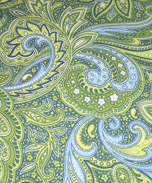 Green and Sky Blue Paisley
