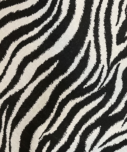 Zebra black and whits