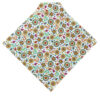 white with colorful paisley