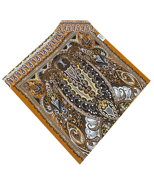 Burnt Orange Paisley
