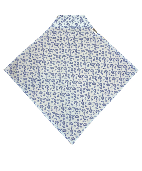 Light Blue Paisley