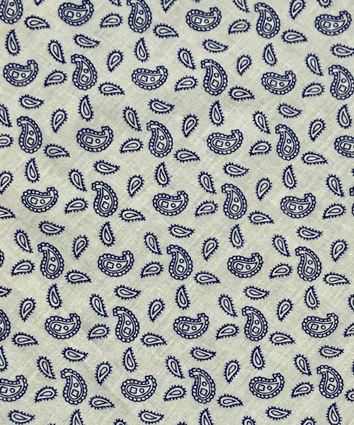 Light Blue Paisley